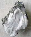 Image of fibrous asbestos on muscovite