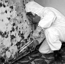 Image of suited technician performing mold remediation